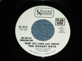 画像: THE SHAGGY BOYS - BEHIND THESE STAINED GLASS WINDOW ( MINT-/MINT- )/ 1960's US AMERICA ORIGINAL White Label PROMO Used 7"45 