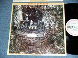 画像: PEKKA POHJOLA ( PERGRESSIVE ROCK in FINLAND ) - VISITATION  ( Ex+++/MINT- ) / 1979 WEST GERMANY GERMAN  ORIGINAL Used LP 