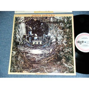 画像: PEKKA POHJOLA ( PERGRESSIVE ROCK in FINLAND ) - VISITATION  ( Ex+++/MINT- ) / 1979 WEST GERMANY GERMAN  ORIGINAL Used LP 