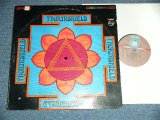 画像: THORIN SHIELD -  THORIN SHIELD  ( Ex/Ex++ Looks: Ex+++ ) / 1967 US AMERICA ORIGINAL  STEREO Used LP 