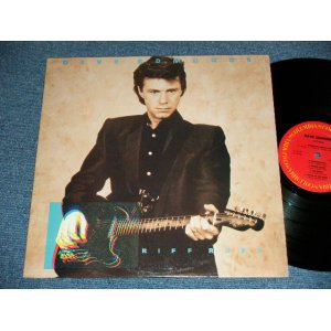 画像: DAVE EDMUNDS - RIFF RAFF ( Ex++/MINT-)  / 1984 US AMERICA ORIGINAL "PROMO" Used LP 