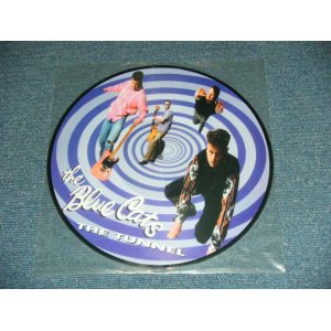 画像: BLUE CATS - THE TUNNEL ( PICTURE DISC )  / 2001  GERMAN GERMANY "BRAND NEW" LP 