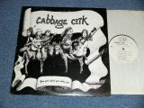 画像: CABBAGE CRIK (MICHIGHAN BLUEGRASS COUNTRY ROCK ) - YOU GET WHAT YOU PLAY FOR  ( Included BOB DYLAN,HANK WILLIAMS,etc..Cover Song Ex+/MINT-)  / 1975 US AMERICA  ORIGINAL Used LP 