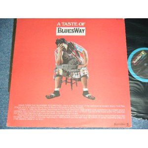 画像: V.A. OMNIBUS - A TASTE OF BLUES WAY/ 1973 US OIGINAL Used LP  