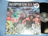 画像: NUMBSKULLS - PSYCHOPHOBIA ( Ex+++.Ex+++)   / 1990 HOLLAND ORIGINAL Used LP 