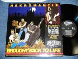 画像: NEK-ROMANTIX - BROUGHT BACK TO LIFE  (Ex+++/Ex+++ )   /  1992 DENMARK  ORIGINAL Used LP 