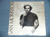 画像: VAN MORRISON - WAVELENGTH  / 1978 US AMERICA ORIGINAL "Brand New SEALED" LP