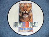 画像: DURAN DURAN - THE REFLEX (Picture Disc) / 1989 US AMERICA ORIGINAL "PICTURE DISC" Used L12" inch Single 