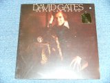 画像: DAVID GATES (BREAD) - NEVER LET ME HER GO / 1975  US AMERICA Original  "BRAND NEW SEALED" LP 