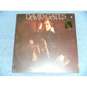 画像: DAVID GATES (BREAD) - NEVER LET ME HER GO / 1975  US AMERICA Original  "BRAND NEW SEALED" LP 