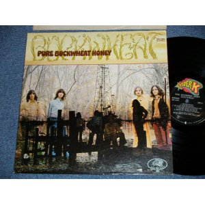 画像: BUCKHEAT - PURE BUCKHEAT HONEY  ( Ex+++/Ex+++ ) / Late 1960's  US AMERICA ORIGINAL Used LP