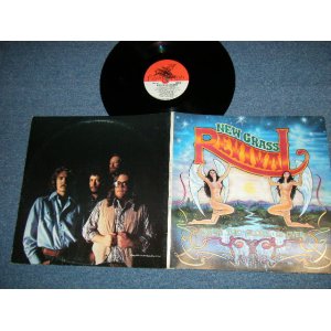 画像: NEW GRASS REVIVAL - WHEN THE STORM IS OVER  (Ex+++/Ex+++ Looks: Ex+) / 1977 US AMERICA ORIGINAL Used LP 