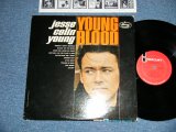 画像: JESSE COLIN YOUNG (YOUNGBLOODS) - YOUNG BLOOD (Ex++/Ex+++) / 1965 US AMERICA ORIGINAL "MONO" Used  LP 