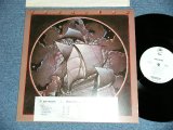 画像: TREASURE - TREASURE (Ex+++/MINT-)   / 1977 US AMERICA ORIGINAL "WHITE LABEL PROMO" Used  LP 