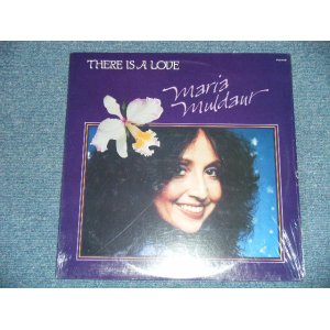 画像: MARIA MULDAUR -  THERE IS A LOVE  ( SEALED)  / 1982  US AMERICA ORIGINAL "BRAND NEW SEALED" LP