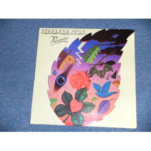 画像: STEELEYE SPAN - PORTFOLIO  (SEALED) / 1986 US AMERICA ORIGINAL "Brand New SEALED" 2-LP's 