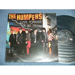 画像: The HUMPERS - LIVE FOREVER OR DIE TRYING (MELO-CORE)  ( Ex+/MINT-) / 1996 US AMERICA ORIGINAL  Used LP 