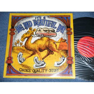 画像: IT'S A BEAUTIFUL DAY -CHOICE QUALITY STUFF /ANYTIME (Matrix # A)AL-30734-1F / B) BL-30734-1E )(Ex++/Ex+++ )Looks:Ex++) / 1971 US AMERICA ORIGINAL   Used LP 