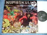 画像: NUMBSKULLS - PSYCHOPHOBIA ( NEW)   / 1990 HOLLAND ORIGINAL "BRAND NEW"  LP 