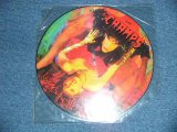 画像: THE CRAMPS - LOOK MOM NOHEAD ( -/MINT-) /1991 UK ENGLAND "Limited PICTURE Disc" Used LP