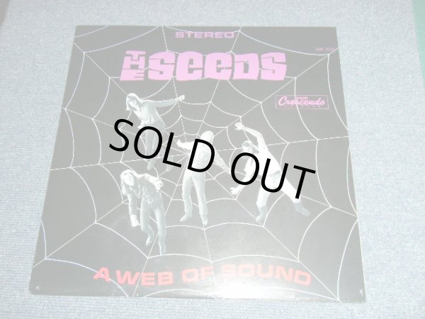 画像1: The SEEDS  - A WEB OF SOUND  (SEALED)   / US AMERICA  REISSUE "Brand New SEALED"  LP 