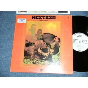 画像: DANIEL VALDEZ - MESTIZO   ( Ex++/MINT- )   / 1974 US AMERICA ORIGINAL "WHITE LABEL POROMO" Used  LP