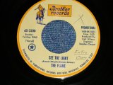 画像: The FLAME - SEE THE LIGHT : GET YOUR MIND MADE UP : Produced by CARL WILSON of The BEACH BOYS  ( Ex+++/Ex+++)   / 1970 US AMERICA ORIGINAL "PROMO" Used  7" Single 