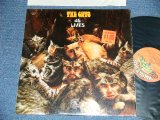 画像: THE CATS - 45 LIVES ( MINT-/MINT-) /  1970  US AMERICA ORIGINAL Used  LP 