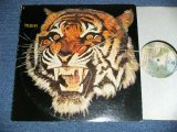 画像: TIGER - TIGER (BIG JIM SURRIVAN!!! Bluesy & Heavy British Rock)  (Ex+/MINT-)  / 1976 US AMERICA ORIGINAL Used LP