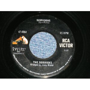 画像: The SIDEKICKS - SUSPICIONS : UP ON THE ROOF ( Ex++/Ex++) / 1966 US AMERICA ORIGINAL Used 7"45 Single 