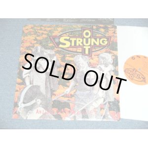 画像: STRUNG OUT - ANOTHER IN PARADISE  ( MINT-/MINT-)  / 199?   US AMERICA   ORIGINAL Used LP 