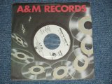 画像: L.T.D. - DANCE"N" SING "N" ( PROMO Only  SAME FLIP MONO & STEREO ) ( MINT-/MINT-)  / 1979 US AMERICA ORIGINAL"PROMO ONLY"  Used 7" Single 