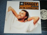 画像: SHAGGY - IN THE SUMMERTIME  ( MINT-/MINT-) /  1995  US AMERICA  ORIGINAL Used 12" 