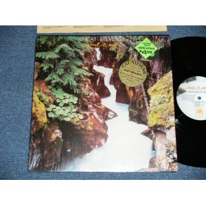 画像: CAT STEVENS - BACK TO EARTH ( MINT-/MINT-) / 1978 US AMERICA ORIGINAL Used LP 