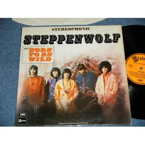 画像: STEPPENWOLF - 1st Debut Album STEPPENWOLF (Matrix # A-1G/B-1G )  (  With TITLE on Front Cover )  (Ex++/Ex+++ ) / 1970 UK ENGLAND REISSUE  Used  LP 