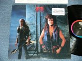 画像: MSG / McAULEY MICHAEL SCHENKER GROUP - PERFECT TIMING( MINT-/MINT ) / 1987 US AMERICA ORIGINAL Used LP