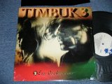 画像: TIMBUK 3 - EDGE OF ALLIGIANCE ( MINT/MINT-)  / 1989 US AMERICA ORIGINAL Used LP 