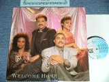 画像: The WATERS - WELCOME HOME  ( MINT-/MINT-)   / 1988 US AMERICA ORIGINAL Used LP with "FUN CLUB MEMBERSHIP APPLICATION" SHEET 