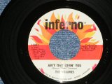 画像: THE VOLUMES - AIN'T THAT LOVIN' YOU : I LOVE YOU BABY( NORTHERN SONGS)  ( Ex++/Ex++ )  / 1967 US AMERICA ORIGINAL  ORIGINAL Used 7"  Single