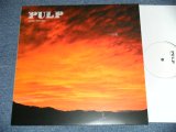 画像: PULP -  SUNRISE / TGHE TREES ( NEW )   / 2001 EUROPE EU  ORIGINAL"BRAND NEW"  12" 