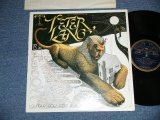 画像: PETER LANG - THE THING AT THE NURSERY ROOM WINDOW (ROOTS MUSIC GUITARIST with GALLOPPING STYLE )  (  Ex++/Ex+++ ) / 1973 US AMERICA ORIGINAL  Used LP