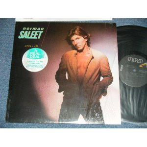 画像: NORMAN SALET - HERE I AM ( MINT/MINT-)  / 1982 US AMERICA ORIGINAL Used LP 