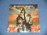 画像: PAUL MASSE ( FOLKY~Flower Movemant ) - BUTTERFLY LAKE  ( SEALED ) / 1968 US AMERICA ORIGINAL"BRAND NEW SEALED"  LP 