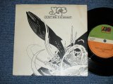 画像: YES - DON'T KILL THE WHALE : ABILENE ( Ex++/Ex+++)  / 1978 UK ENGLAND ORIGINAL  Used 7" Single with PICTURE SLEEVE