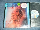 画像: JOHNNY WINTER -  THE WINTER OF '88 ( MINT-/MINT- B-1:Ex+) / 1988 US AMERICA ORIGINAL Used LP 