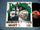 画像: JOHN HARTFORD - NOBODY KNOWA WHAT YOU DO  ( Ex+++/Ex+++ ) / 1976 US AMERICA ORIGINAL Used LP 