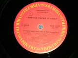 画像: TERENCE TRENT D'ARBY - WISHING WELL  ( Ex+++/MINT-)  / 1987 US AMERICA ORIGINAL "PROMO ONLY" Used 12" 