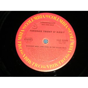 画像: TERENCE TRENT D'ARBY - WISHING WELL  ( Ex+++/MINT-)  / 1987 US AMERICA ORIGINAL "PROMO ONLY" Used 12" 