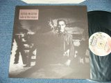 画像: PETER MURPHY - TAKE OF THE TONGUE( MINT-/MINT ) /  1986 UK ENGLAND ORIGINAL Used 12" 