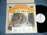 画像: TIMBER LINE - THE GREAT TIMBER RUSH  ( Ex+/MINT- ) / 1977 US AMERICA ORIGINAL "WHITE LABEL PROMO" Used LP 